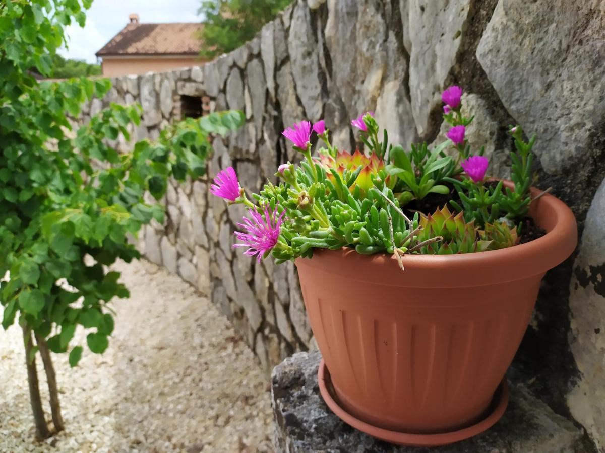 Mama Residence Rovinjsko Selo Kültér fotó